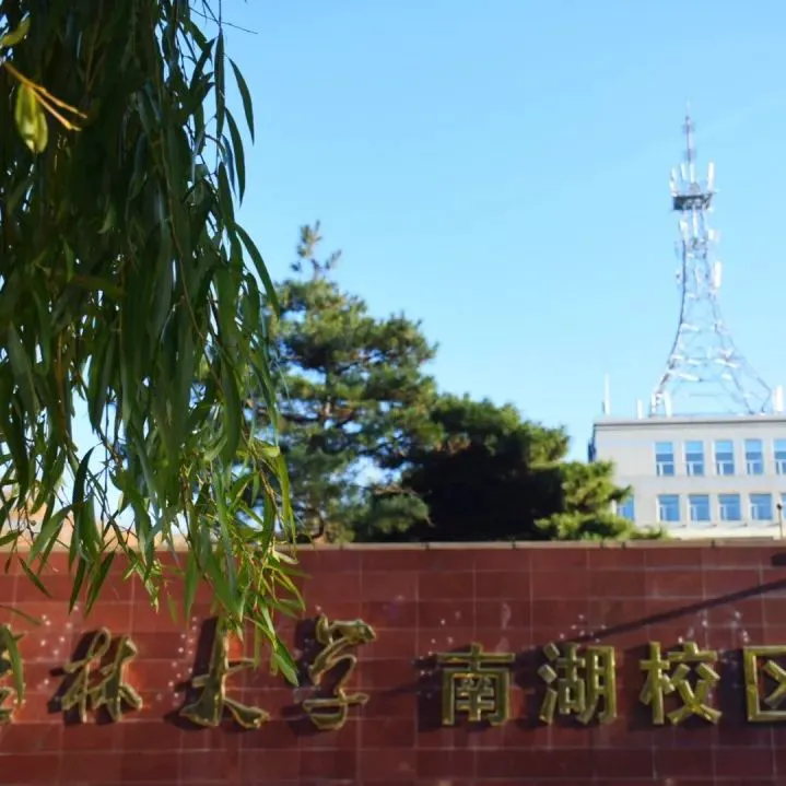 如何制定一个支持篮球训练发展的长期计划_1